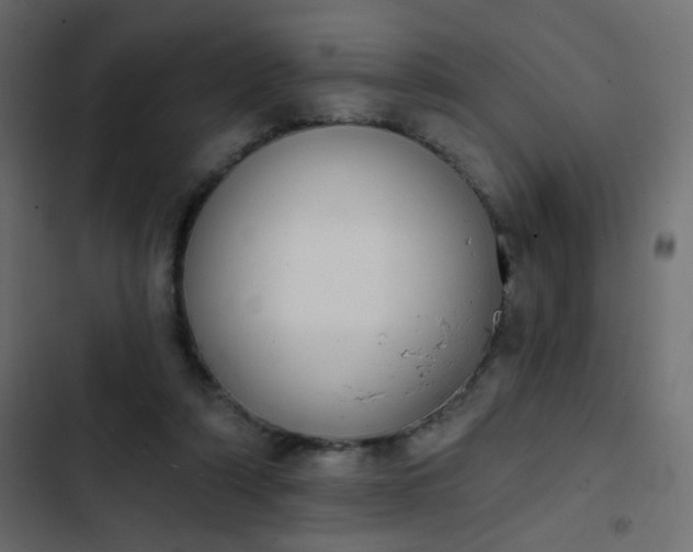 X0000103930306200809261709