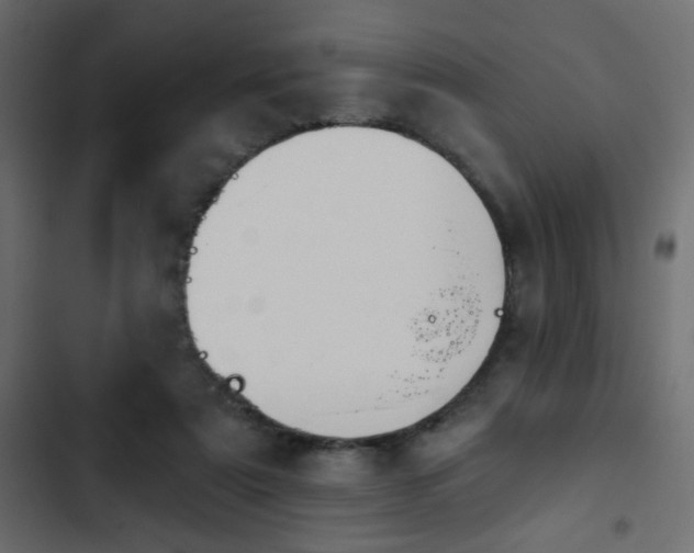 X0000103930307200809261709