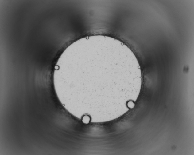 X0000103930308200809261709