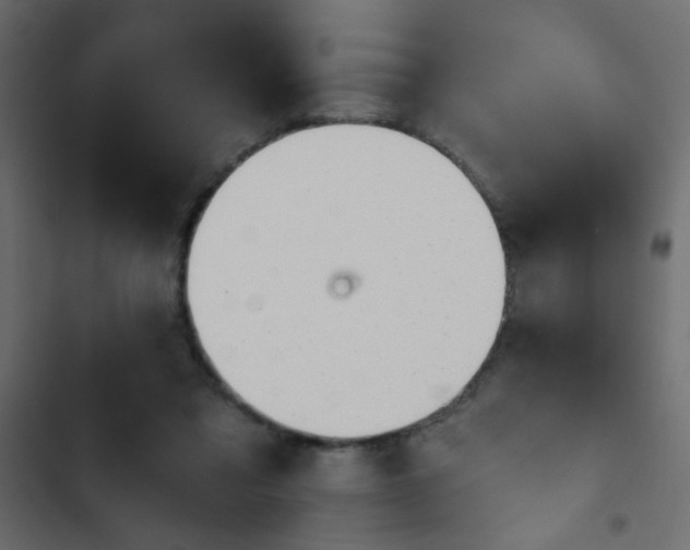 X0000103930309200809261709