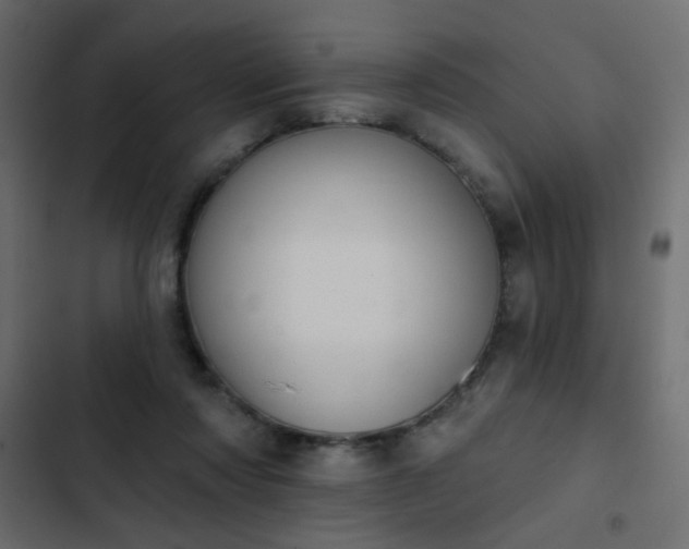 X0000103930310200809261709