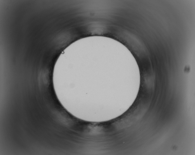 X0000103930311200809261709