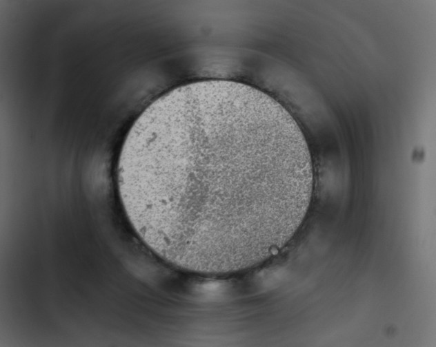 X0000103930312200809261709