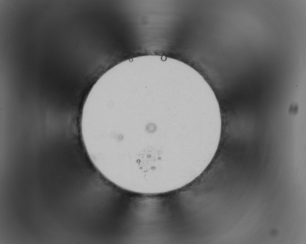 X0000103930313200809261709