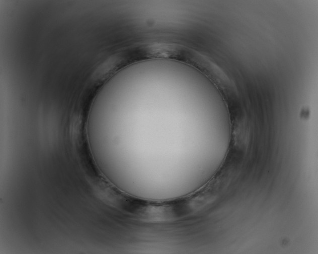 X0000103930314200809261709
