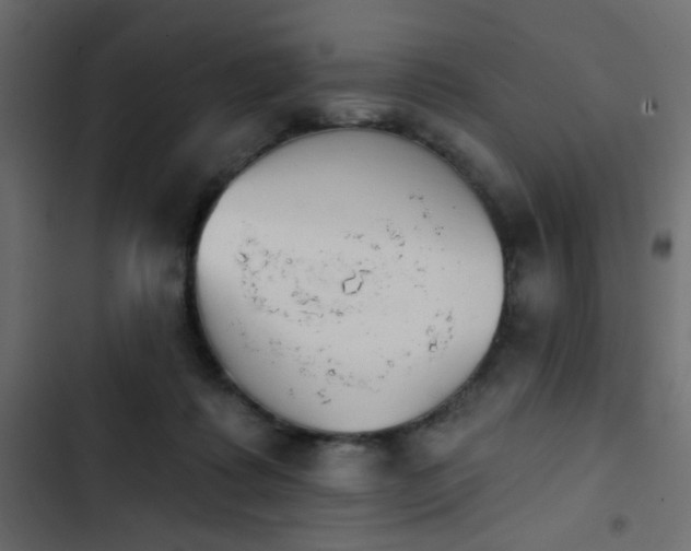 X0000103930315200809261709