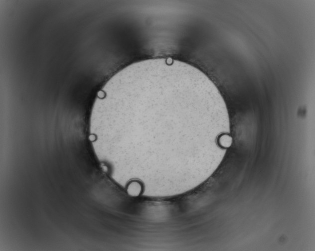 X0000103930316200809261709