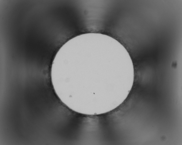X0000103930317200809261709