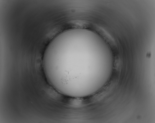 X0000103930318200809261709