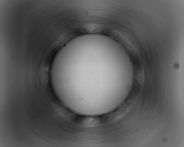 X0000103930319200809261709