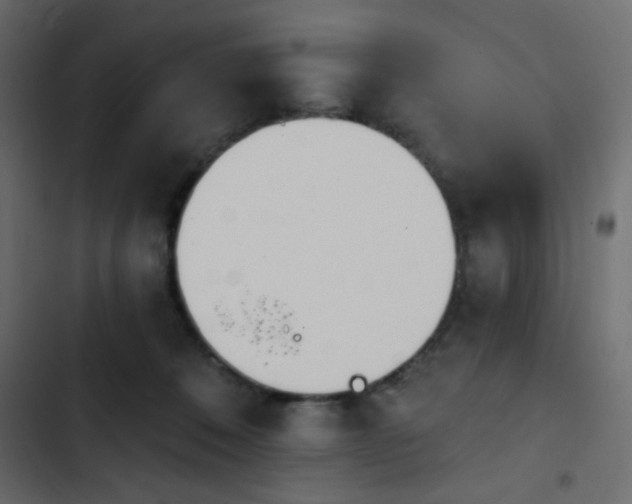 X0000103930320200809261709