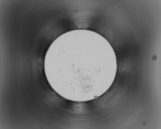 X0000103930321200809261709