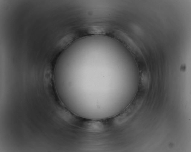 X0000103930322200809261709