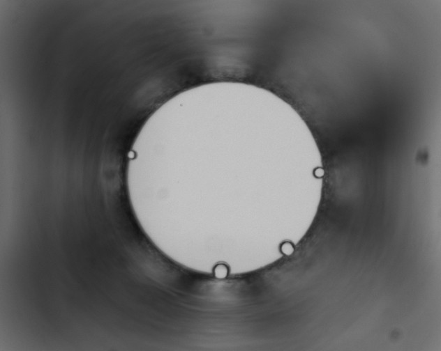 X0000103930323200809261709