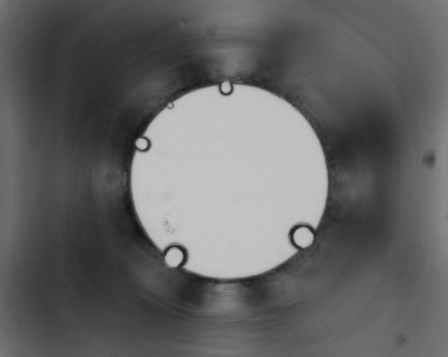 X0000103930324200809261709