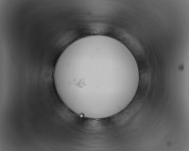 X0000103930325200809261709