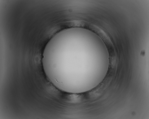 X0000103930326200809261709