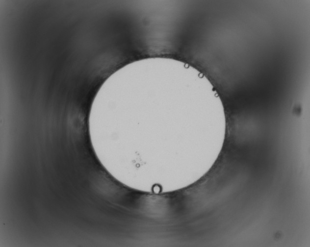 X0000103930327200809261709