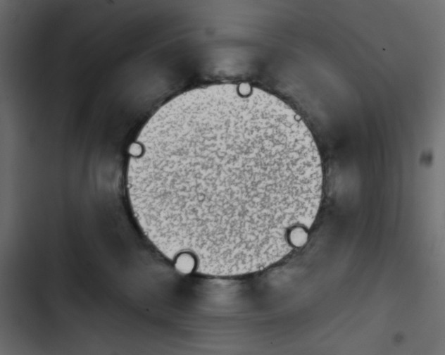 X0000103930328200809261709