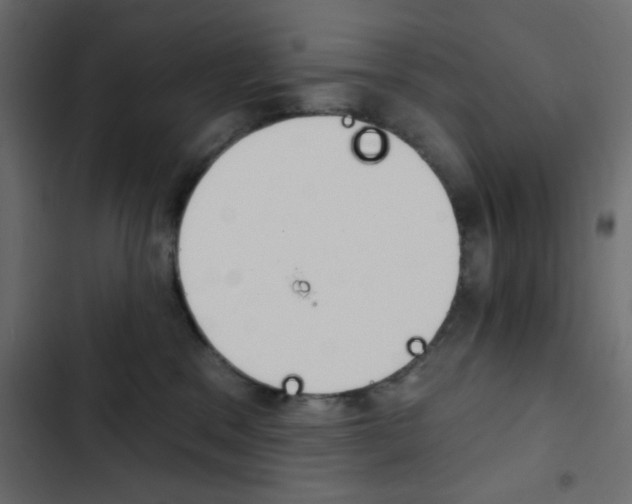 X0000103930329200809261709