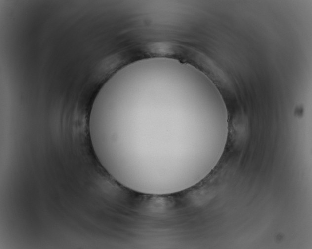 X0000103930330200809261709