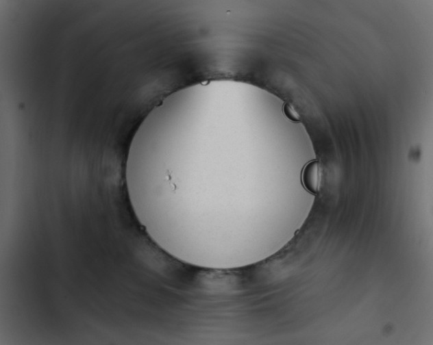 X0000103930331200809261709