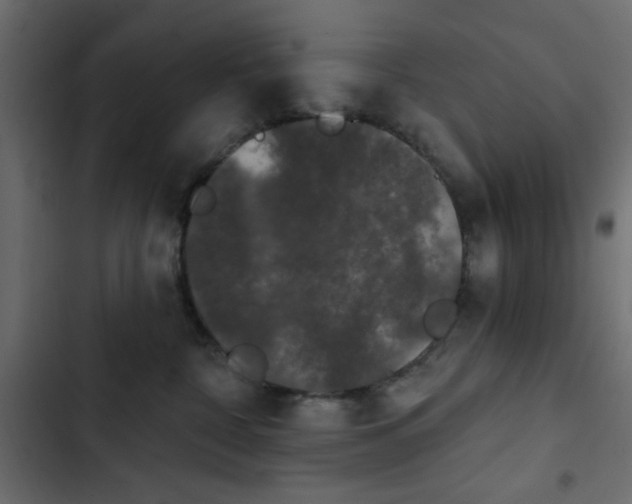 X0000103930332200809261709