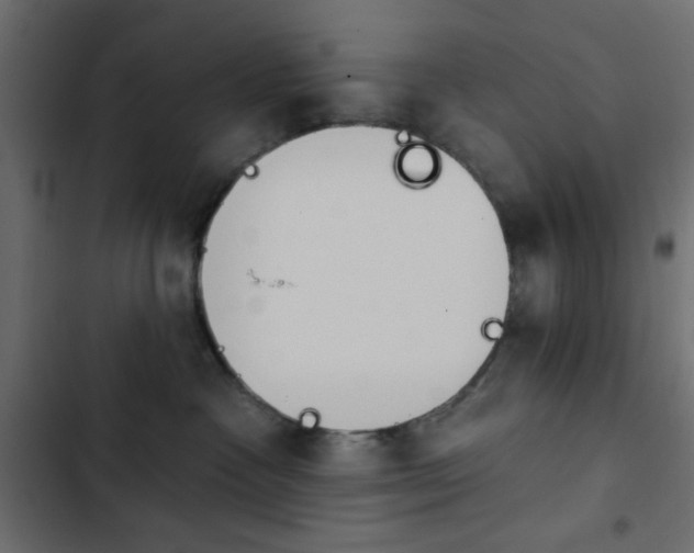 X0000103930333200809261709