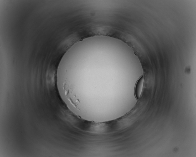 X0000103930334200809261709