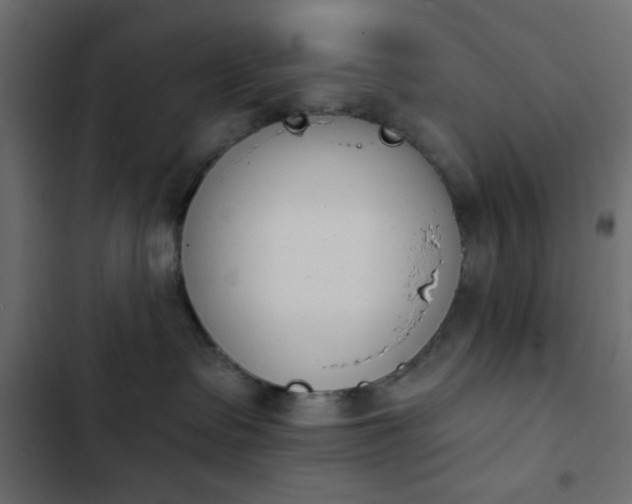 X0000103930335200809261709
