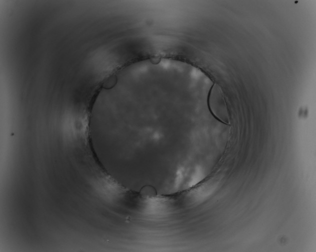X0000103930336200809261709