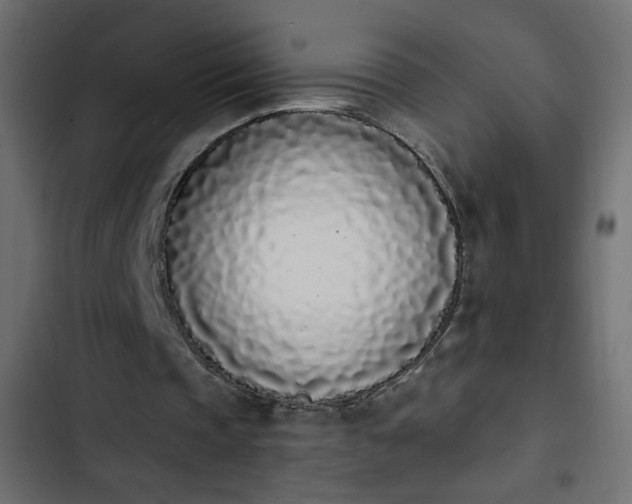 X0000103930337200809261708