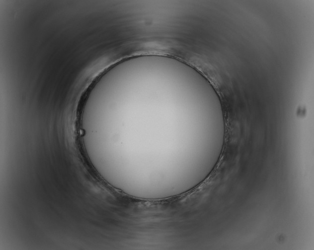 X0000103930338200809261708