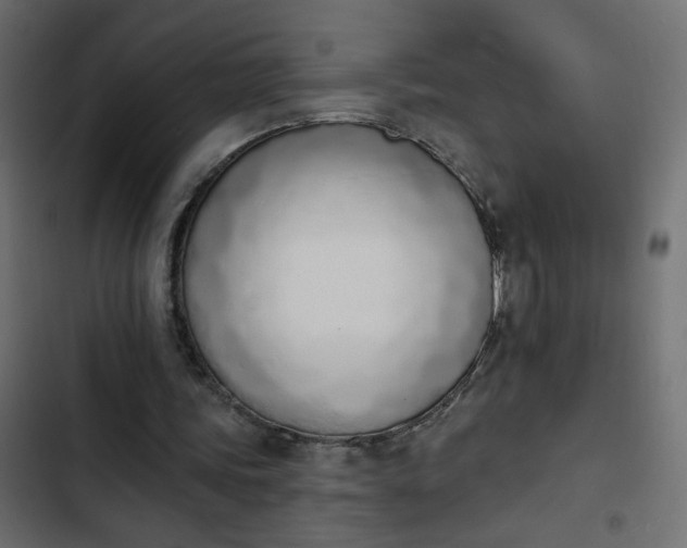 X0000103930339200809261708