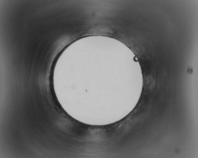X0000103930340200809261708