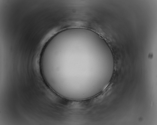 X0000103930341200809261708