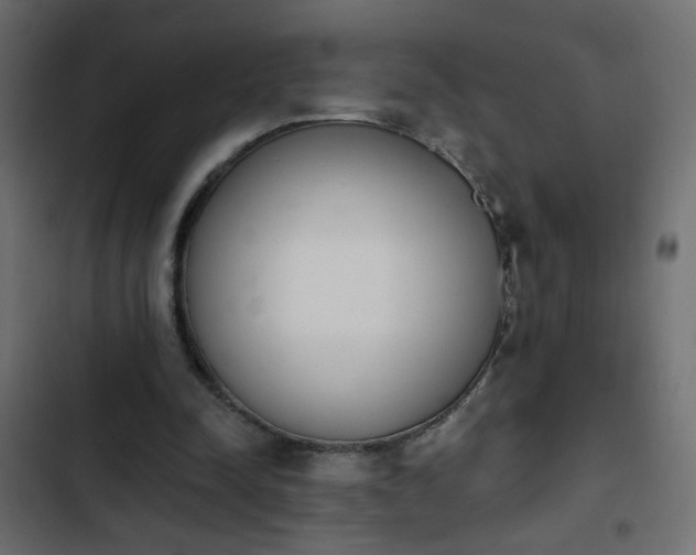 X0000103930342200809261708