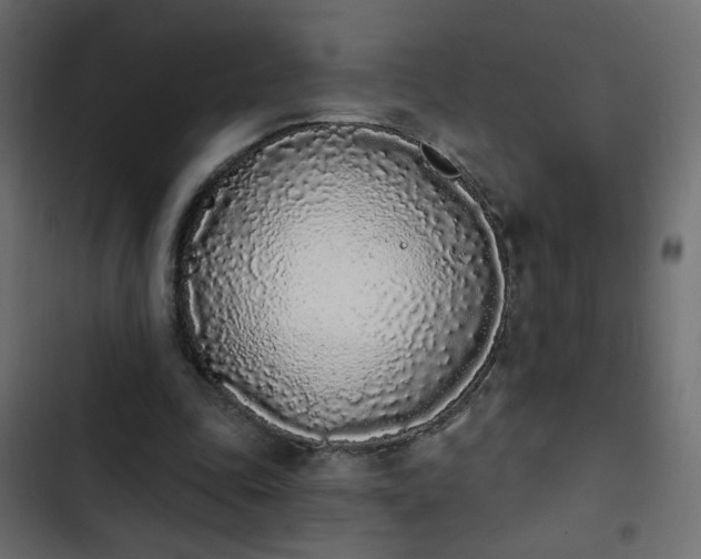 X0000103930343200809261708