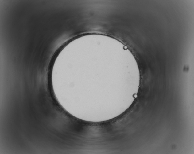 X0000103930344200809261708
