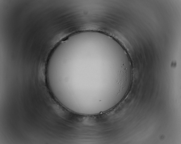 X0000103930345200809261708