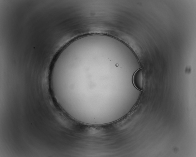 X0000103930346200809261708