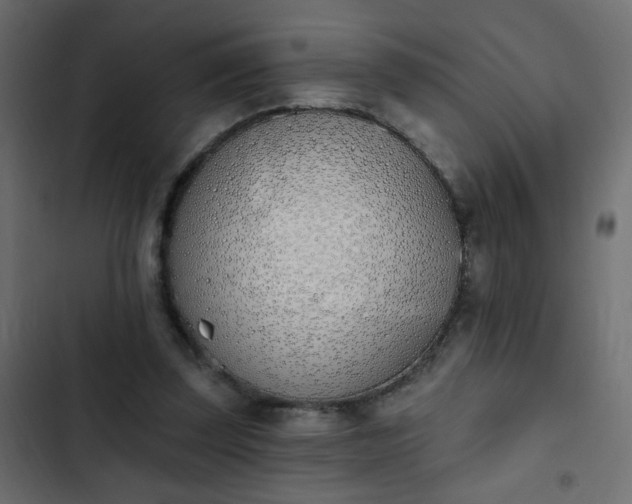 X0000103930347200809261708