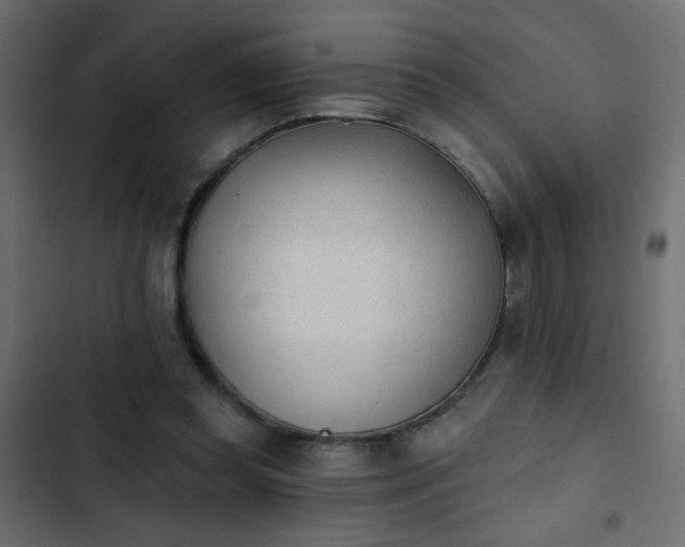 X0000103930349200809261708