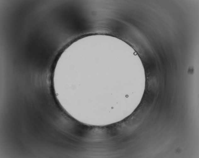 X0000103930350200809261708