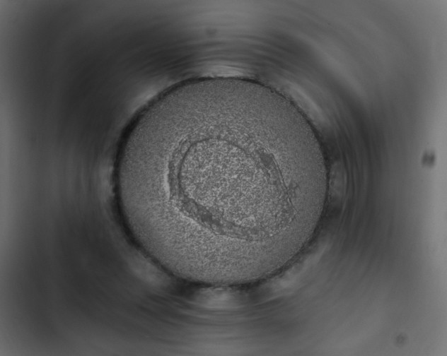X0000103930351200809261708