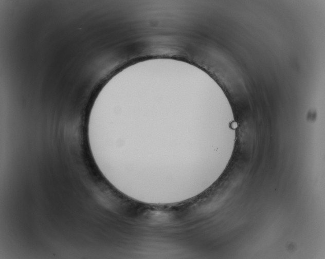 X0000103930352200809261708