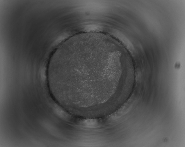 X0000103930353200809261708
