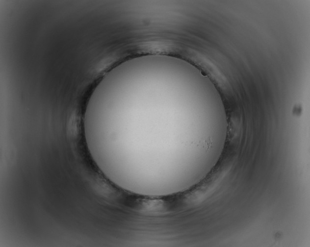 X0000103930355200809261708
