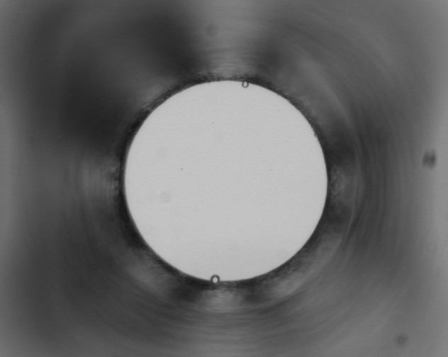 X0000103930356200809261708