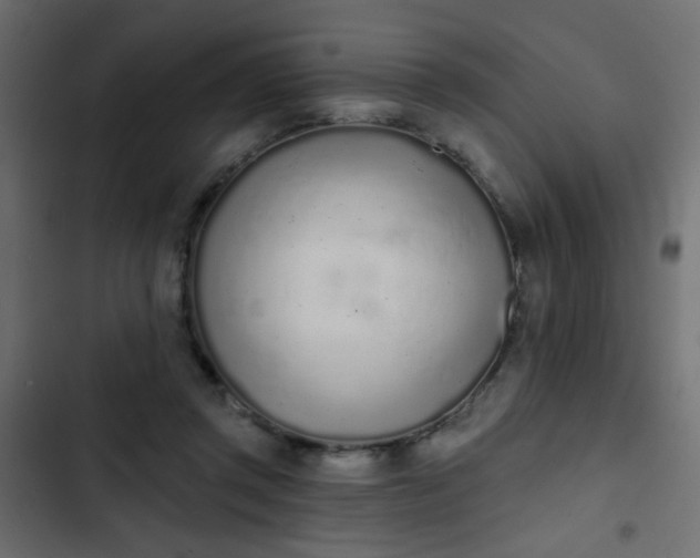 X0000103930357200809261708